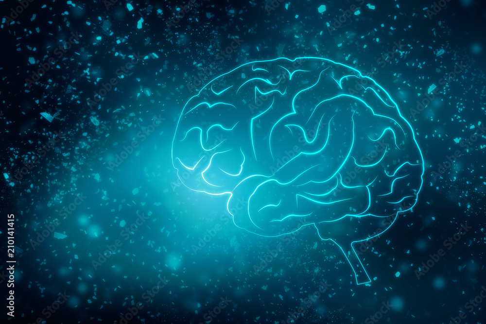 Human brain 2d illustration Human brain 2d illustration