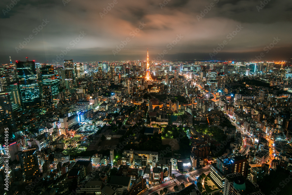 Tokyo Night View