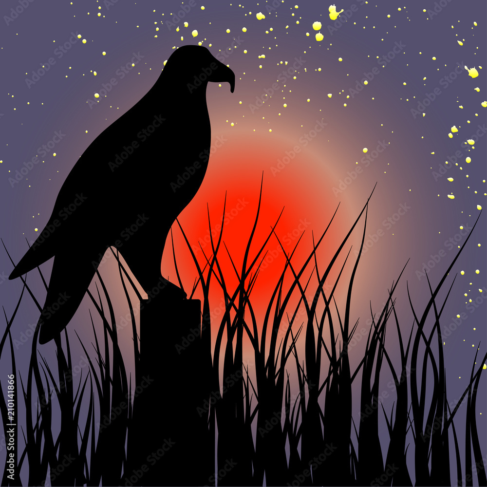 Fototapeta premium eagle grass sun stars illustration jpg