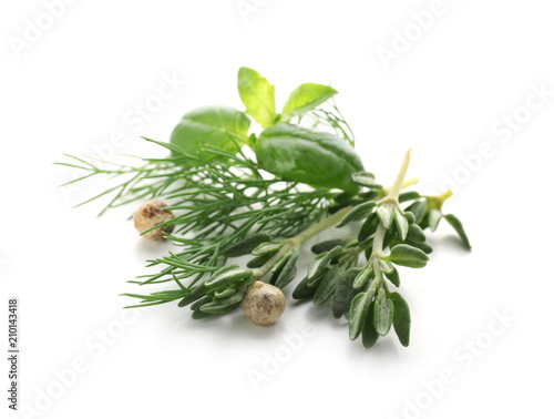 Fresh herbs on white background