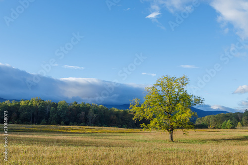 Cades Cove Tennessee