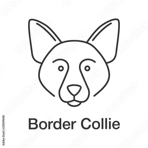 Border collie linear icon