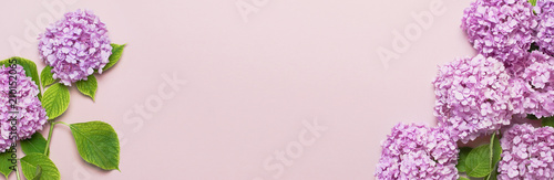 Lilac pink hydrangea flower on pastel pink flat lay background. Mothers Day, Birthday, Valentines Day, Women´s Day, celebration concept. Top view Floral background. Long format.