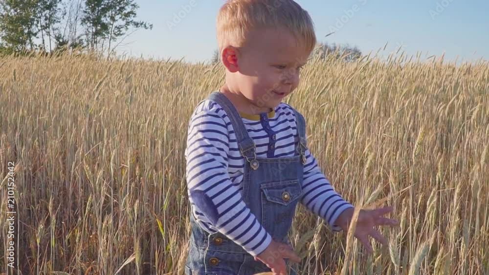 Small farmer. Happy two year old boy standing on field with ripe rye at sunny day. concept. Small farmer. Happy two year old boy standing on field with ripe rye at sunny day. concept.