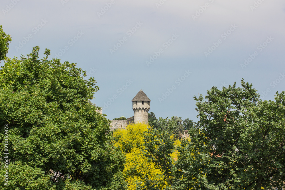 medieval tower between green trees