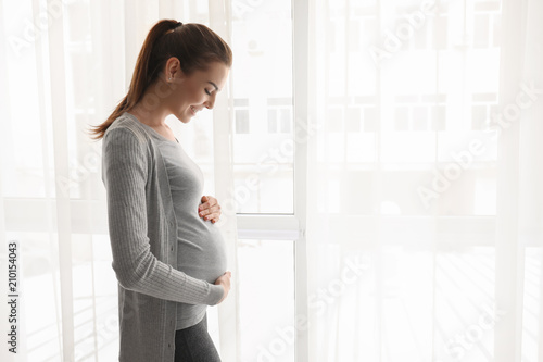 Morning of beautiful pregnant woman standing near window