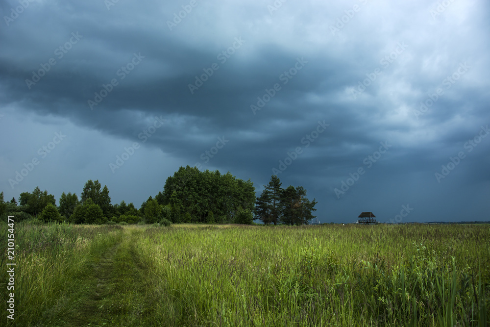 Dark rainy clouds, trees and meadow