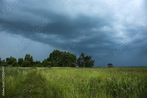 Dark rainy clouds, trees and meadow © darekb22