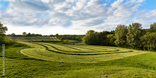 Hay harvest
Panorama view of a landscape with meadow with rows of drying hay.