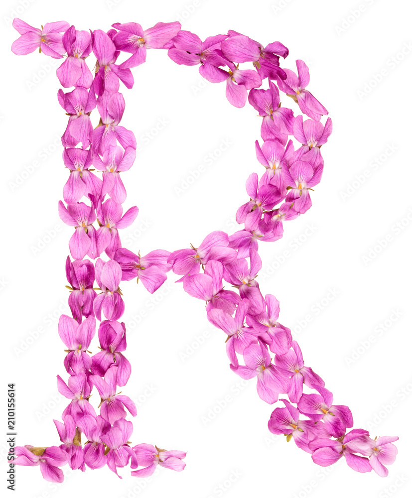 Letter R from alphabet, from flowers of violet, isolated on white background Letter R from alphabet, from flowers of violet, isolated on white background