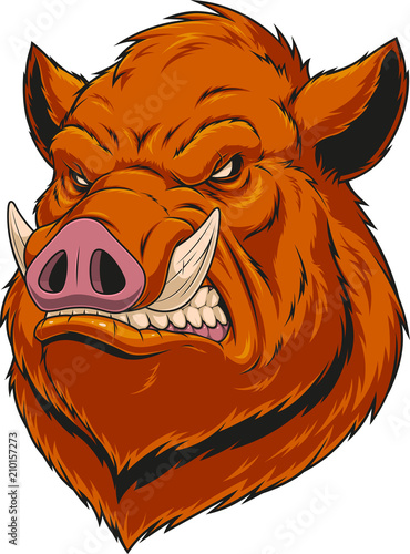 Head ferocious boar