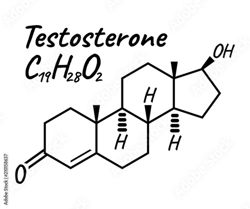 Testosterone Label and Icon. Chemical Formula and Structure Logo. Vector Illustration