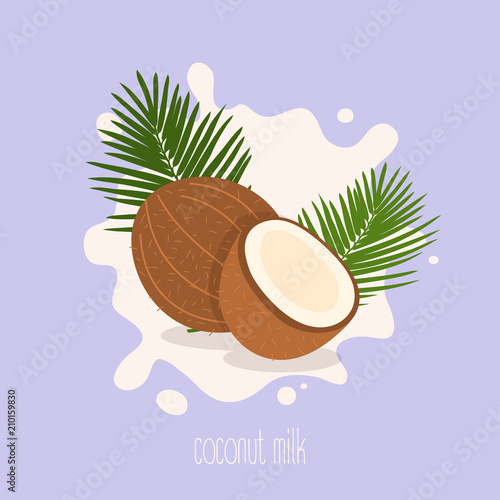Coconut milk. Coconut on a milk splash. Vector illustration.