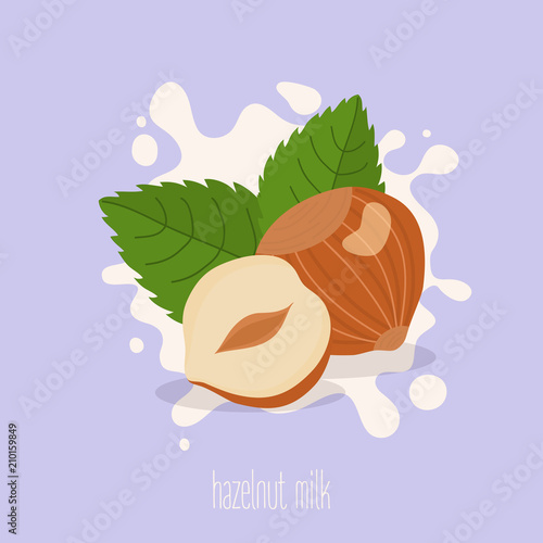 Hazelnut milk. Hazelnuts on a milk splash. Vector illustration.
