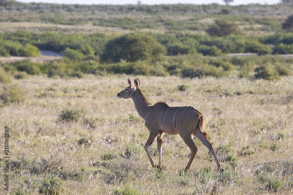 Namibie Namibie