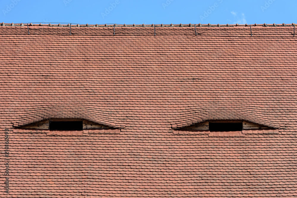 Famous eyes. Windows in the roof made in the form of eyes. Famous eyes. Windows in the roof made in the form of eyes.