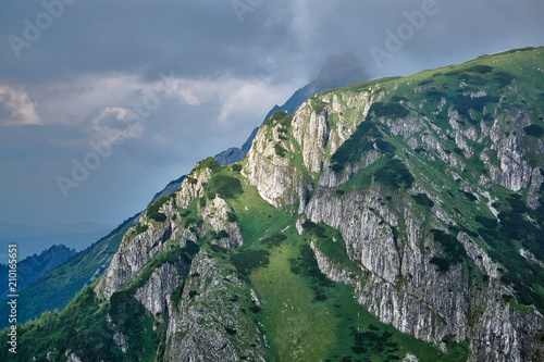 Fototapeta Naklejka Na Ścianę i Meble -  A mountain slope with a mountain pine and limestone rocks in the mountains Tatry in Poland..
