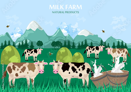 Milk farm concept. Cows green field background. Vector