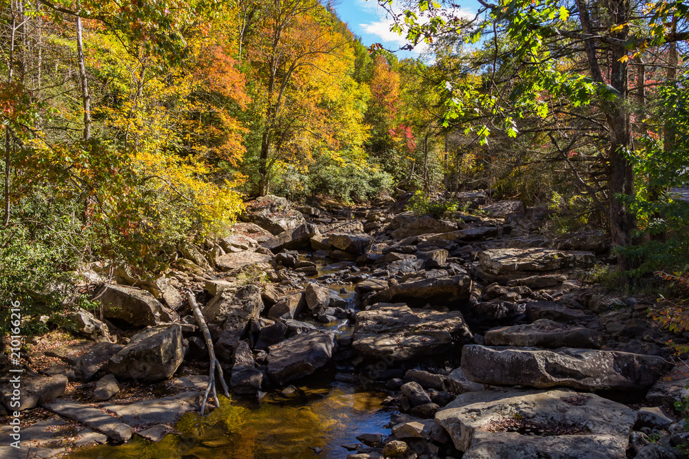 Fall foliage along side a centered river bed with large stones and a small reflective pool of water.