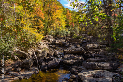 Fall foliage along side a centered river bed with large stones and a small reflective pool of water.