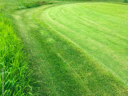 Summer grassy green lawn on the golf course