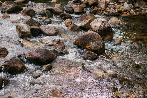 Tropical river flowing rapid water and rocks landscape