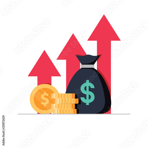 Income increase strategy, Financial high return on investment, fund raising and revenue growth or interest rate.