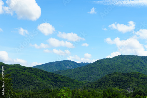 landscape with green grass field and blue sky