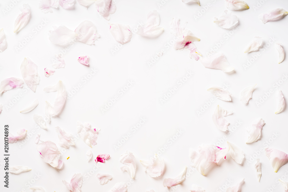 Obraz premium Pink peony petals on white background framed with copy space at the center