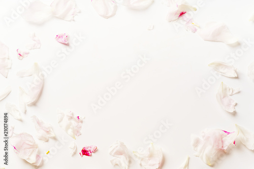 Pink peony petals on white background framed with copy space at the center