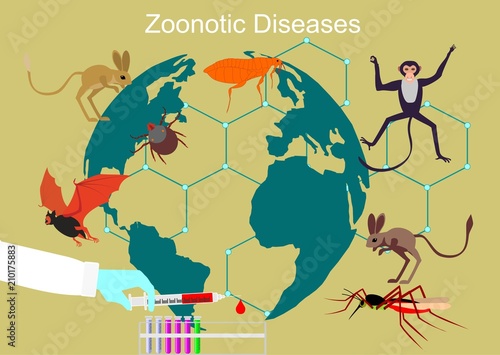 Zoonitic deseases spread in the world concept vector illustration