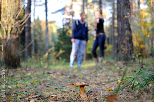 Mushroom in the autumn forest. In the blurred background a girl and a young man. Beautifully lit autumn forest. Moscow region, Russia.