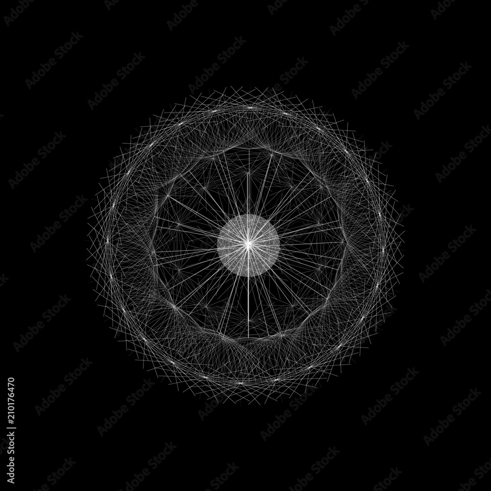 Fototapeta premium drawing of dandelion on black background vector