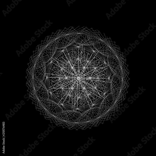 Fototapeta Naklejka Na Ścianę i Meble -  drawing of dandelion on black background vector
