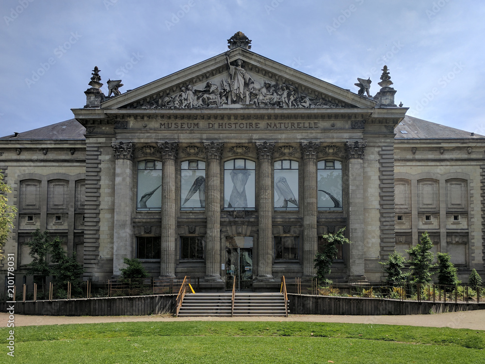 Naklejka premium Muséum_de_Nantes