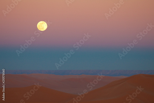 Evening in the desert