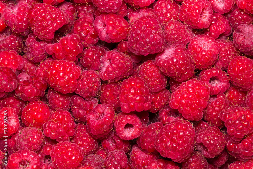 Raspberry. Fresh organic berries macro. Fruit background Raspberry. Fresh organic berries macro. Fruit background
