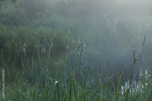 Misty morning view over the water.