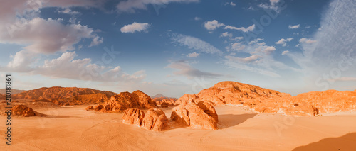 Fotografie, Obraz Panorama Sand desert Sinai, Egypt, Africa