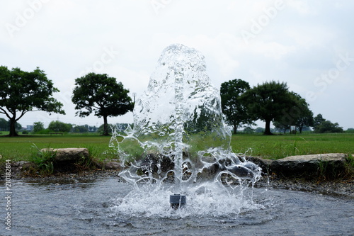 自噴する湧き水