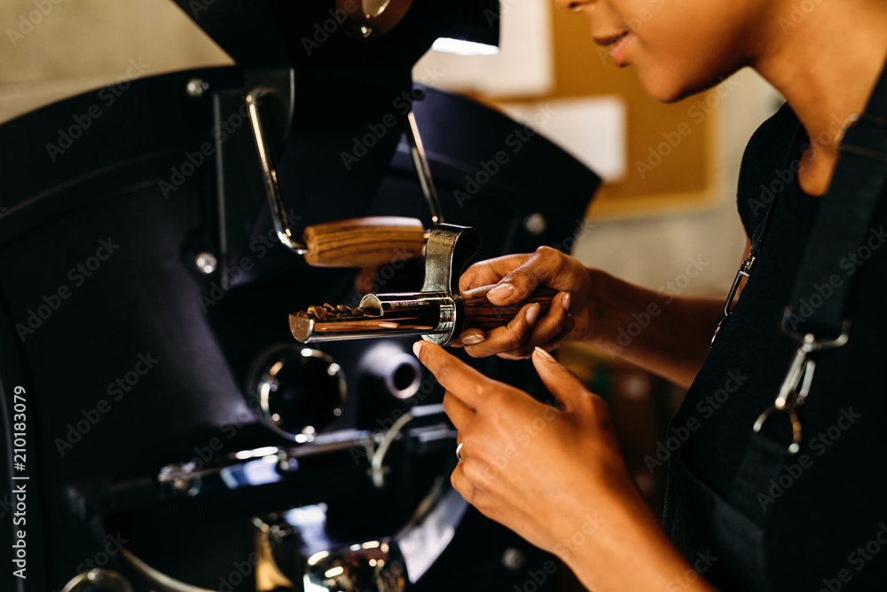 Naklejka premium Unrecognizable woman checking a quality of roasted coffee beans