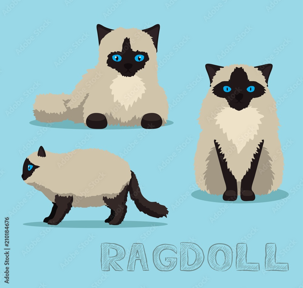 Cat Ragdoll Cartoon Vector Illustration Stock Vector | Adobe Stock