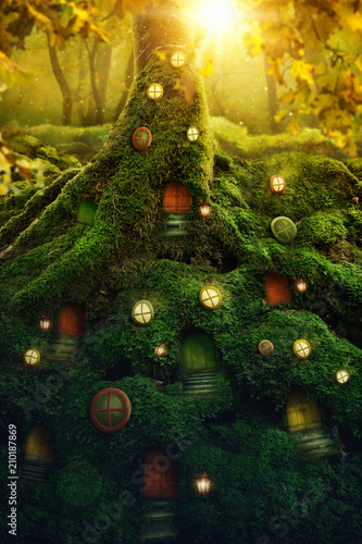 Fototapeta Dark magic forest