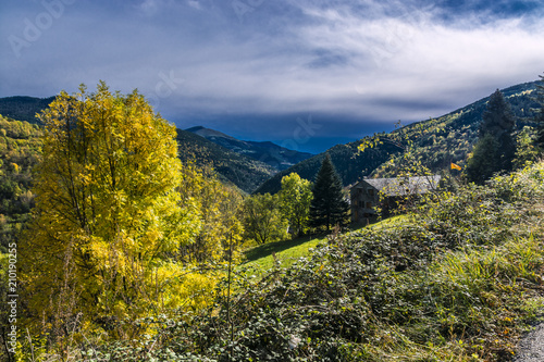 Colores de otoño