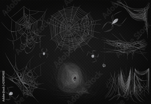Cobweb set isolated on black transparent alpha background. Spiderweb for Halloween design. High quality spider web horror halloween design decor.