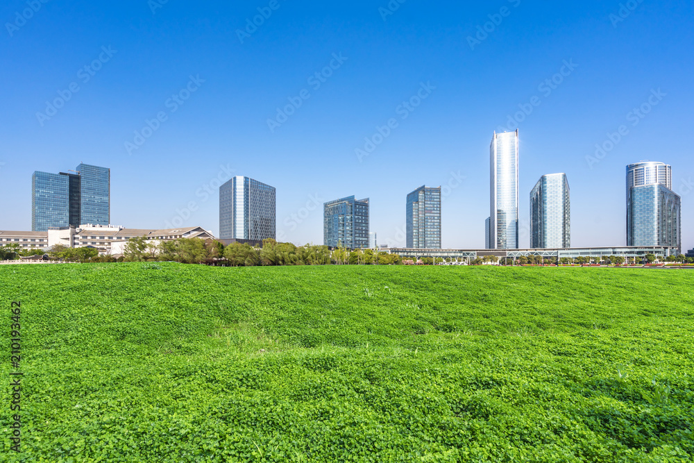 Fototapeta premium green lawn with city skyline