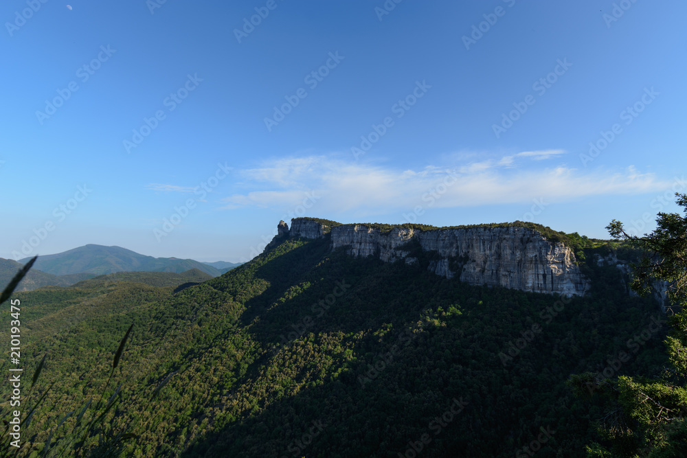 Naklejka premium Large cliff surrounded by dense forest