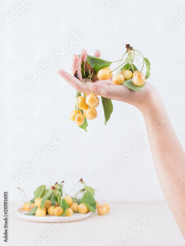 Summer concept. White ripe cherry with leaves in a female hand on a light background.. photo