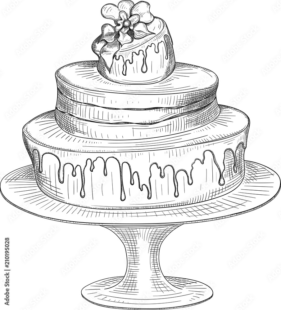 sketch draw birthday cake cartoon Stock Vector Image & Art - Alamy