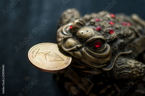 chinese toad with Etherium coin